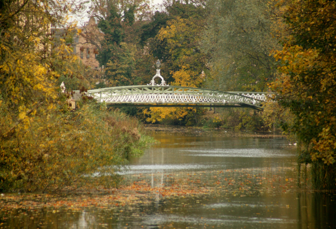 A view of a bridge over a river with green and yellow shrubbery on either side