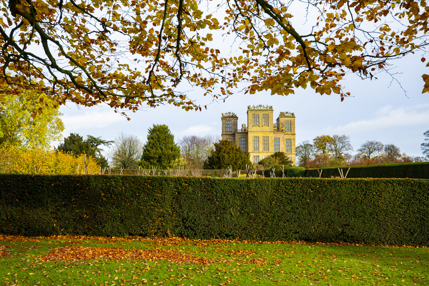 View of a large, 16th century building in the background with trees and a neatly trimmed hedge in the forefront with a small bit of lawn with autumnal, orange leaves on the ground.