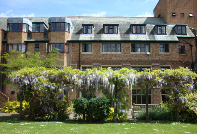 St Edmunds Norfolk Wisteria
