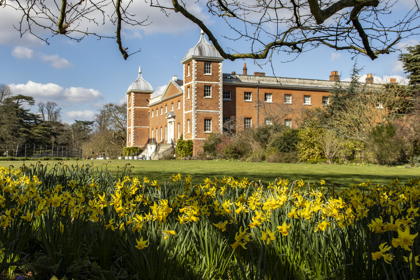 A view from the daffodil bed below tree branches and through the lawn of the large 18th century house surrounded by trees and greenery.