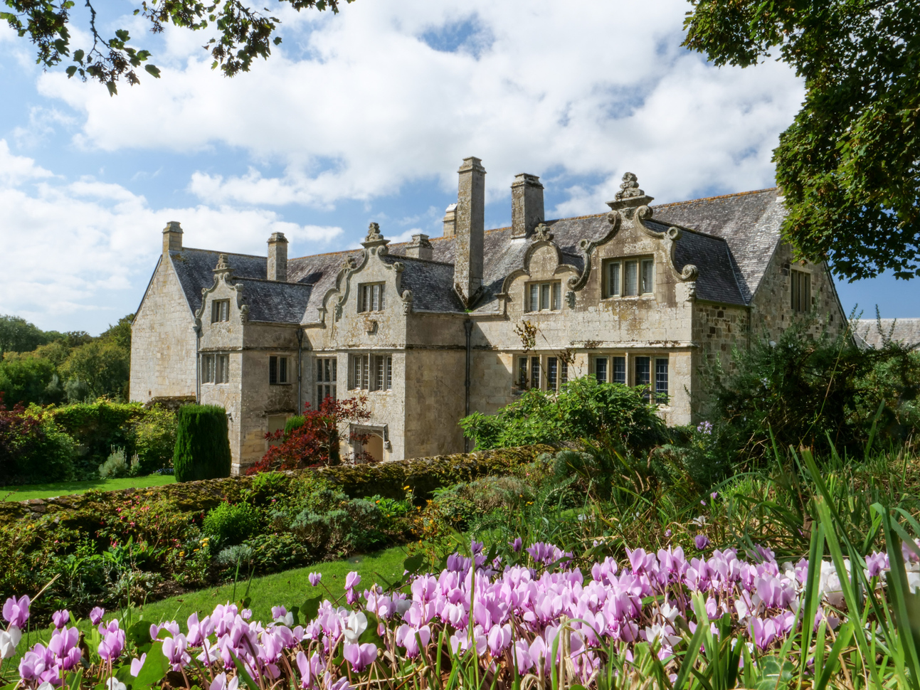 View of the 16th century manor house with a lush green lawn, plenty of greenery, trees and some little purple flowers blooming on a lovely sunny day.