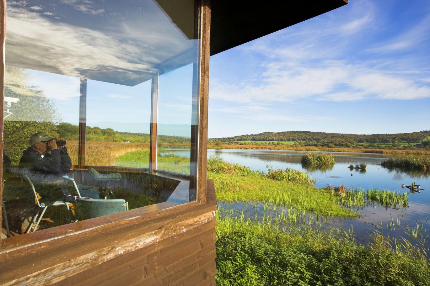 "Viewing platform looking out over water"