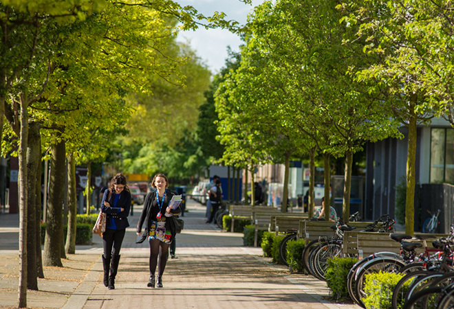 Two female students walking down a paved path with small trees on either side