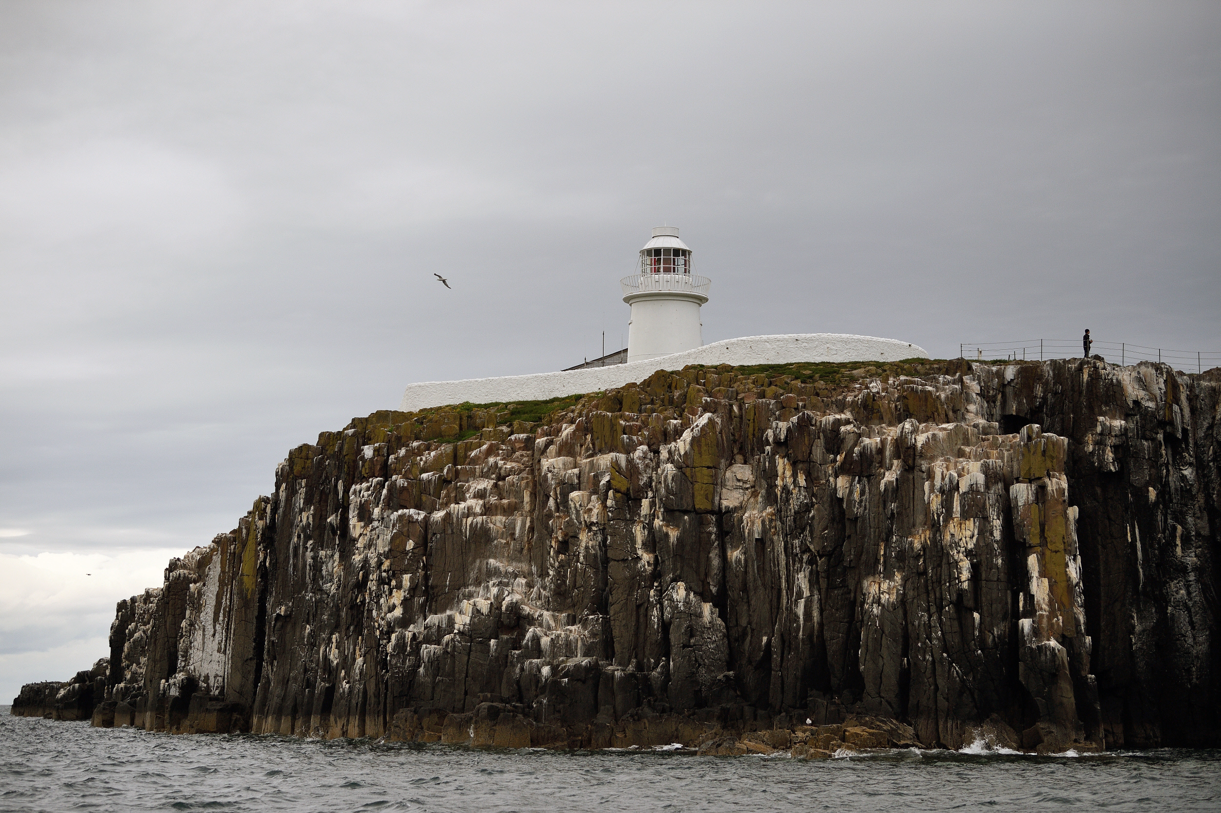 Farne Islands - National Trust