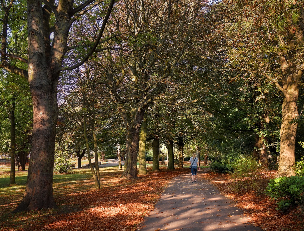"Autumn in Rotherham Park"