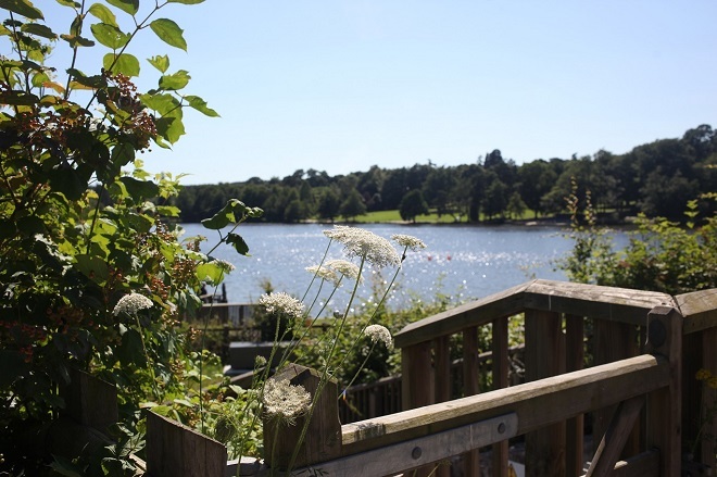 Tilgate Park
