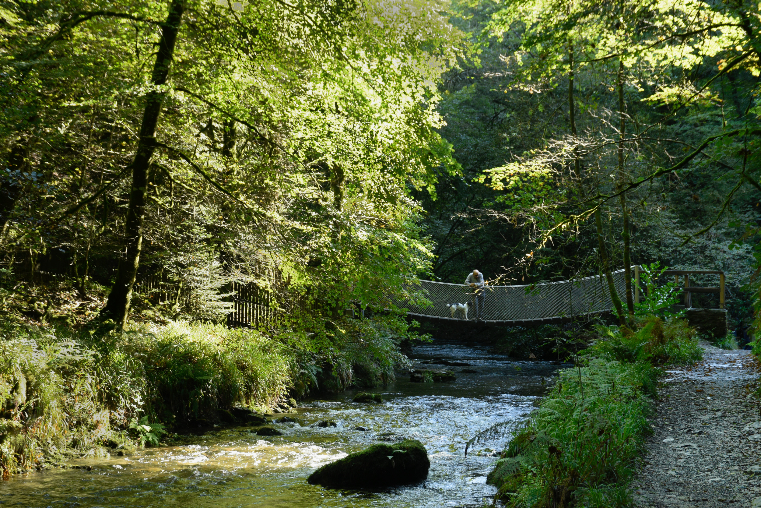 Lydford Gorge - National Trust