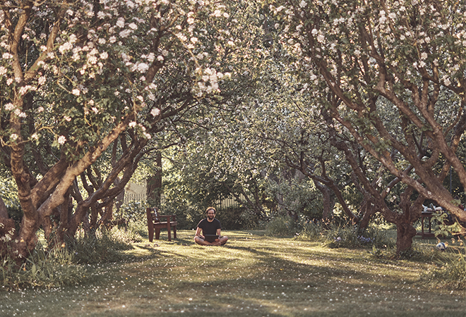 St Edmunds Orchard