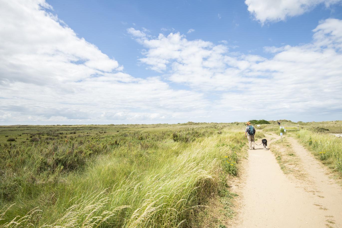 "field with path"