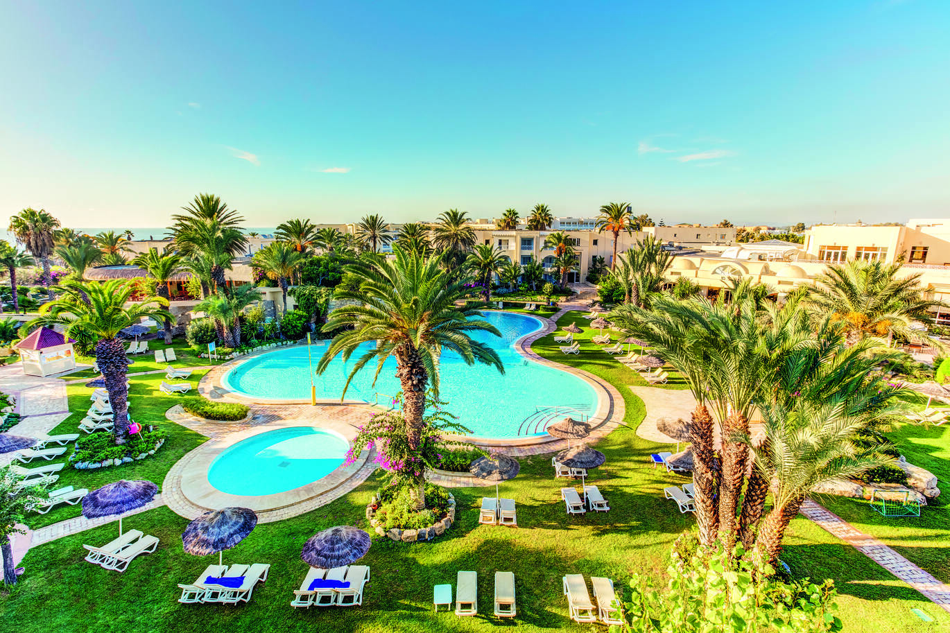 View of the pool area surrounded by lawns, sun loungers and many palm trees, with the hotel buildings scattered around between the trees.