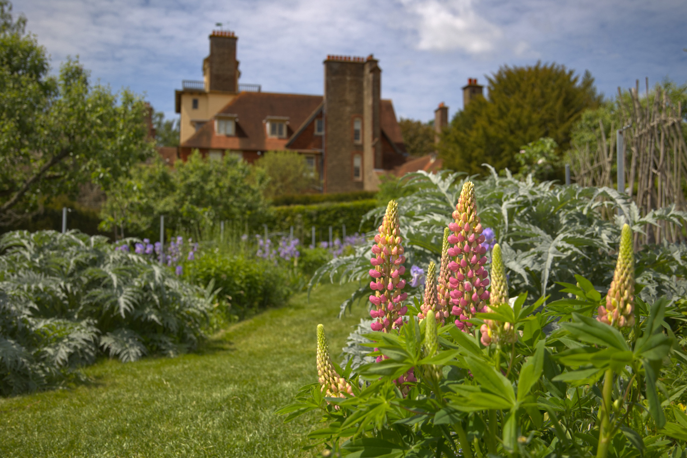 Late May scene in the Kitchen Garden at Standen House and Garden, with the house in the background but the focus on a green and pink flower in the garden which is full of flowers and plants.
