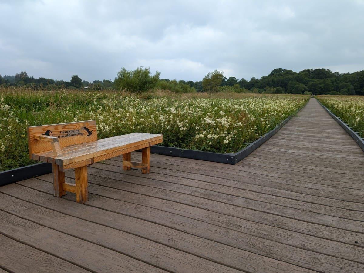 A wooden bench on a boardwalk surrounded by lush greenery and wildflowers under a cloudy sky, inviting visitors to relax.