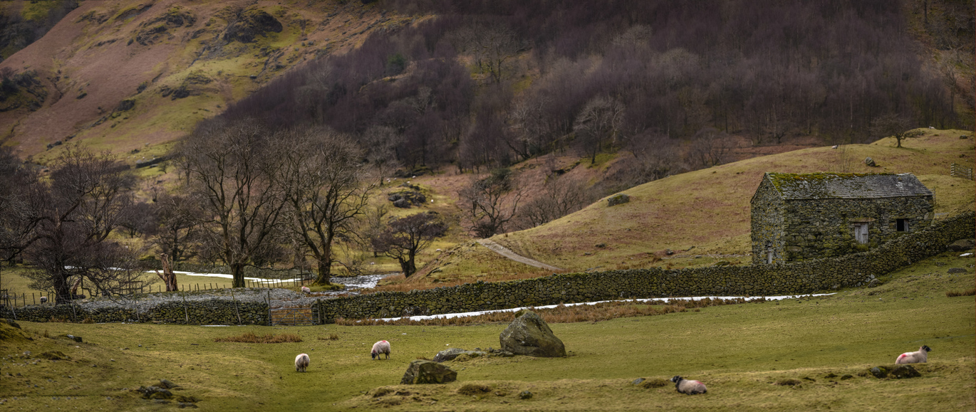 Dovedale Hartsop Hall Farm in Patterdale at Central and East Lakes at Borrowdale and Derwent Water, Cumbria. An image of the landscape with very steep hills covered in rocks, grass and trees. There are a few different fields seperated by fences and walls, there are sheep in most of the fields. There is a stone wall dividing the front and back field and just the other side of the wall is a stone field barn.