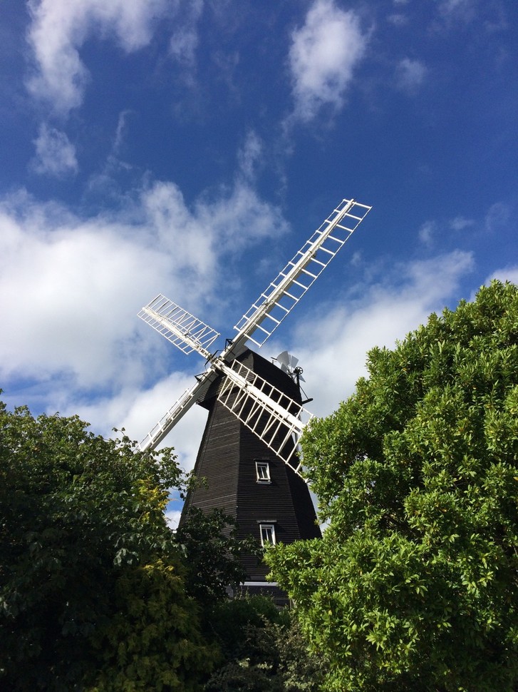 "Black and white windmill in background against sky with clouds. Foliage in foreground."