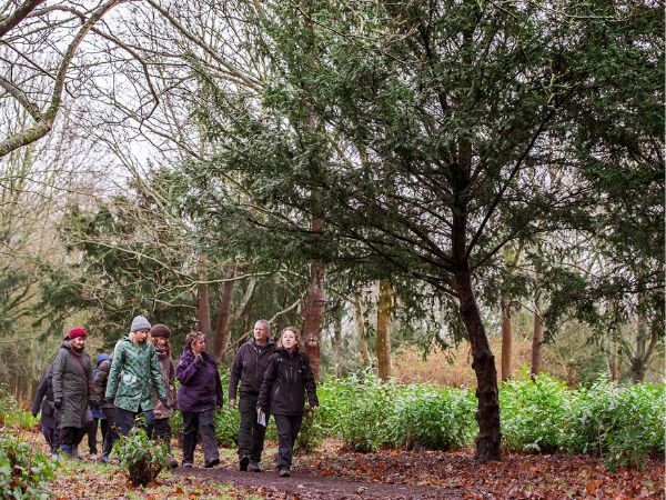 "A group of people walking along a trail in a wooded area"