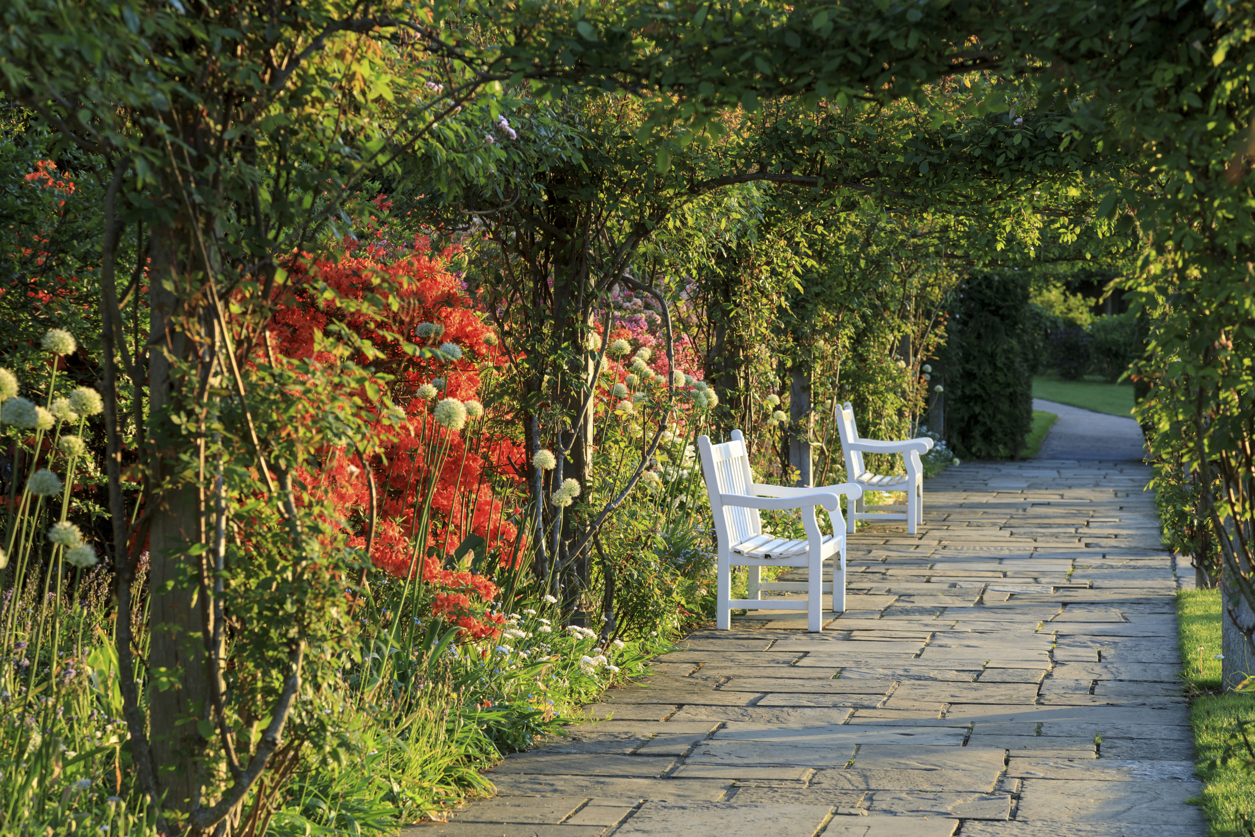 Emmetts Garden - National Trust