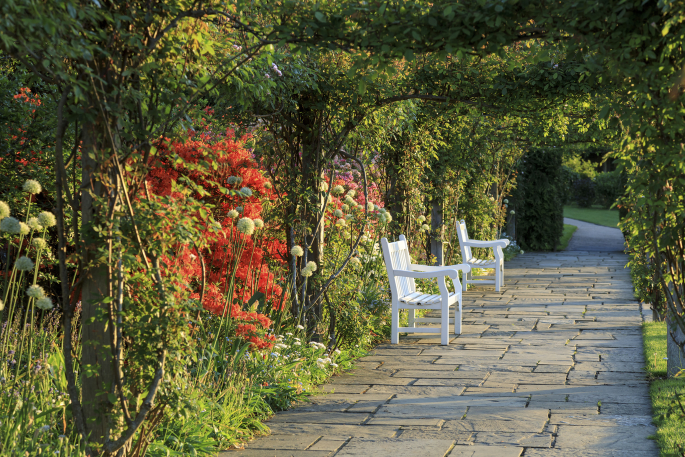 Benches on the path at the Rose Garden on the path under a tunnel of plants and greenery.