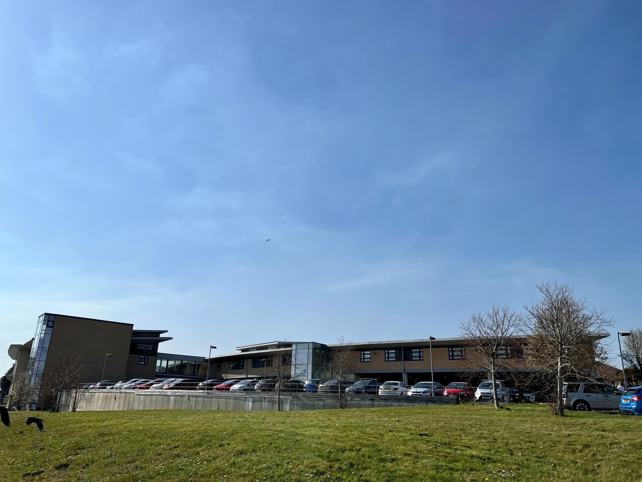 building in the background with cars parked in front