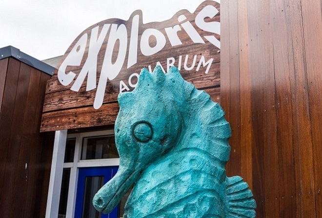 Exploris Aquarium 