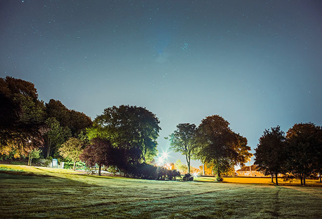 "Grassy park area with trees lining in background and sun setting"