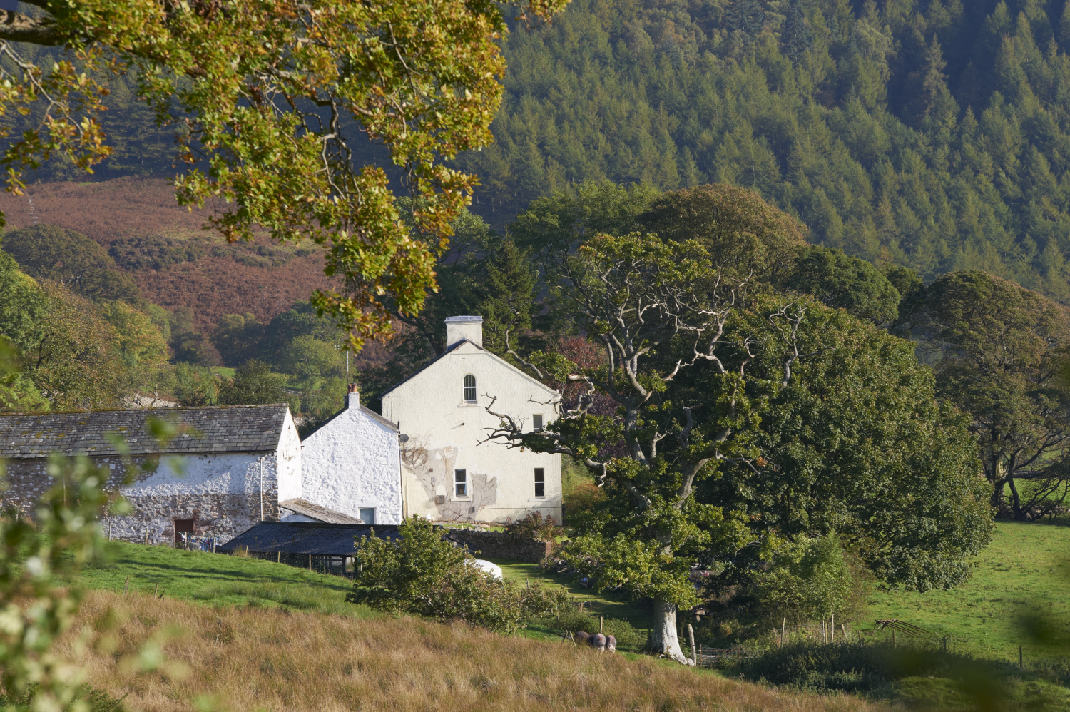 Ennerdale - National Trust