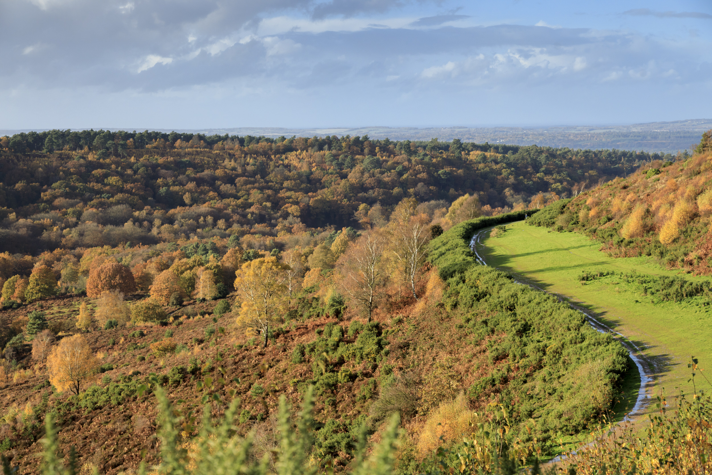 Hindhead Commons and the Devil's Punch Bowl - National Trust