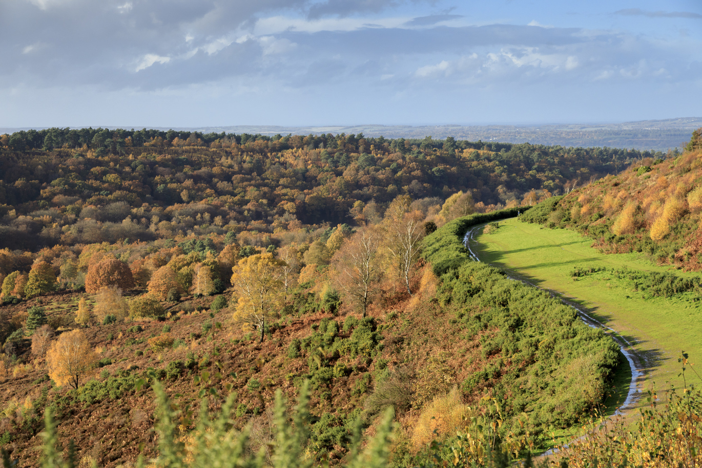 Aerial view of miles of the scenery at Hindhead Commons and the Devil's Punch Bowl.
