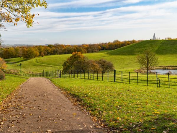"A wide path and green fields as far as the eye can see"