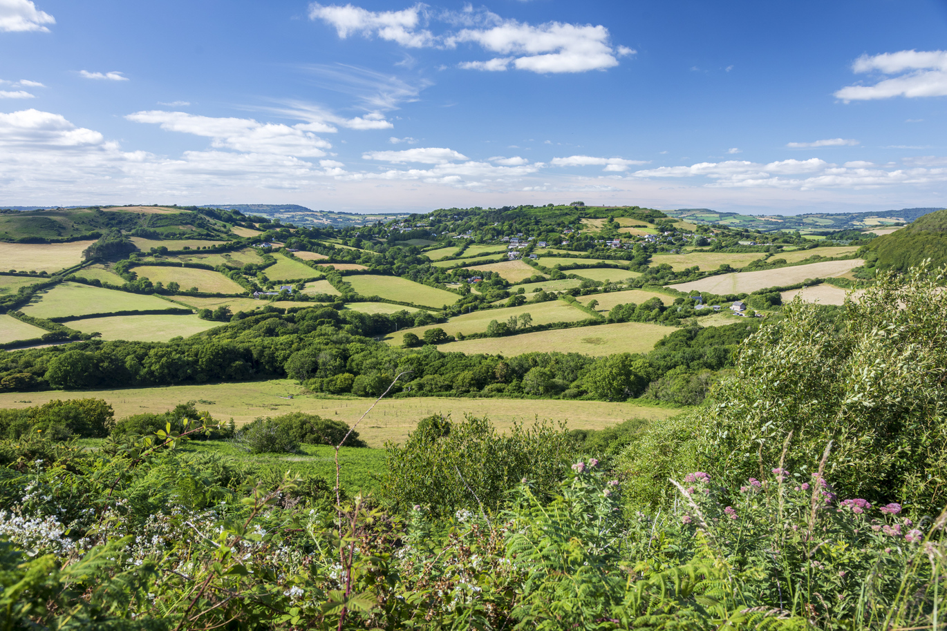 View inland of the Golden Cap Estate, looking over miles of green fields and trees with the blue sky above.