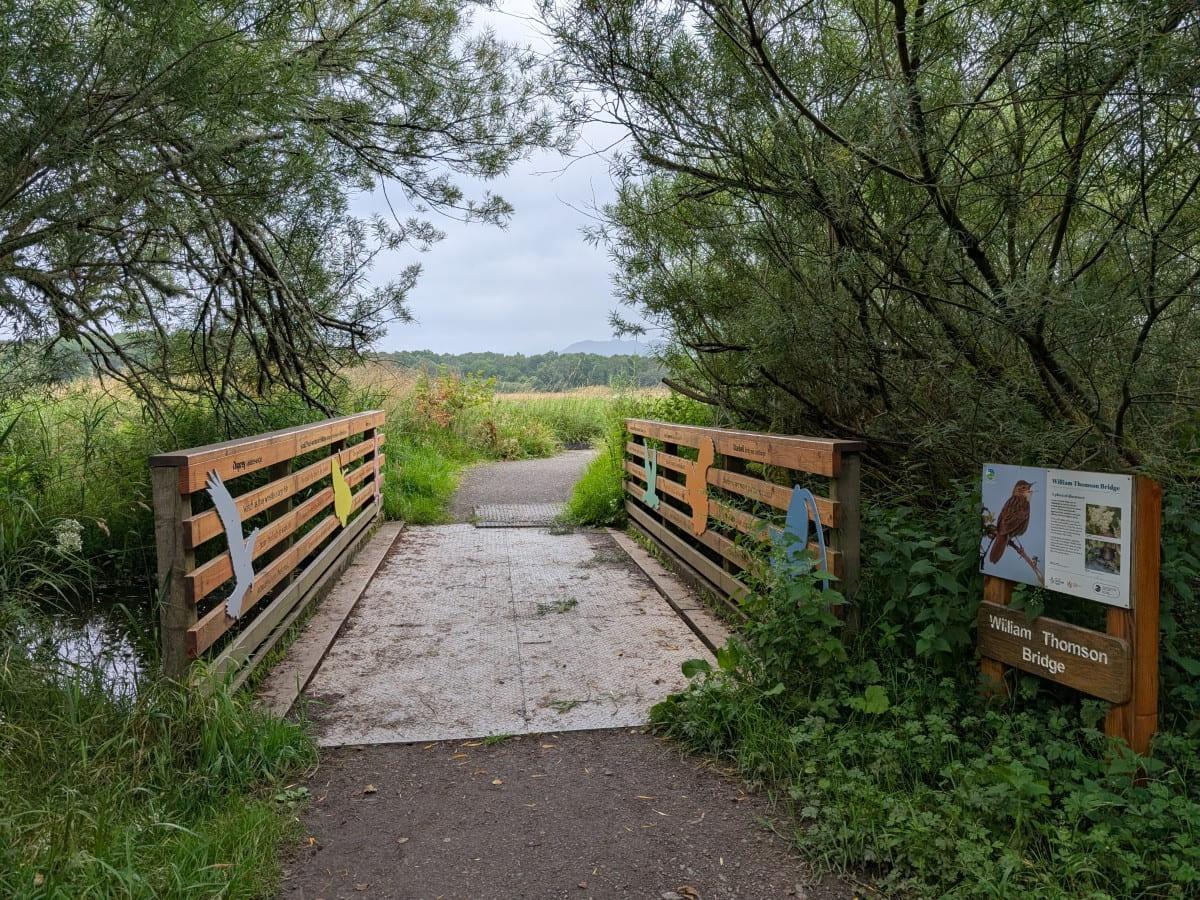 A scenic view of the William Thomson Bridge surrounded by lush greenery and a pathway leading into a natural landscape.