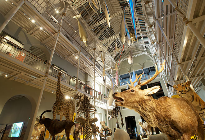 "National Museum of Scotland Picture 8"