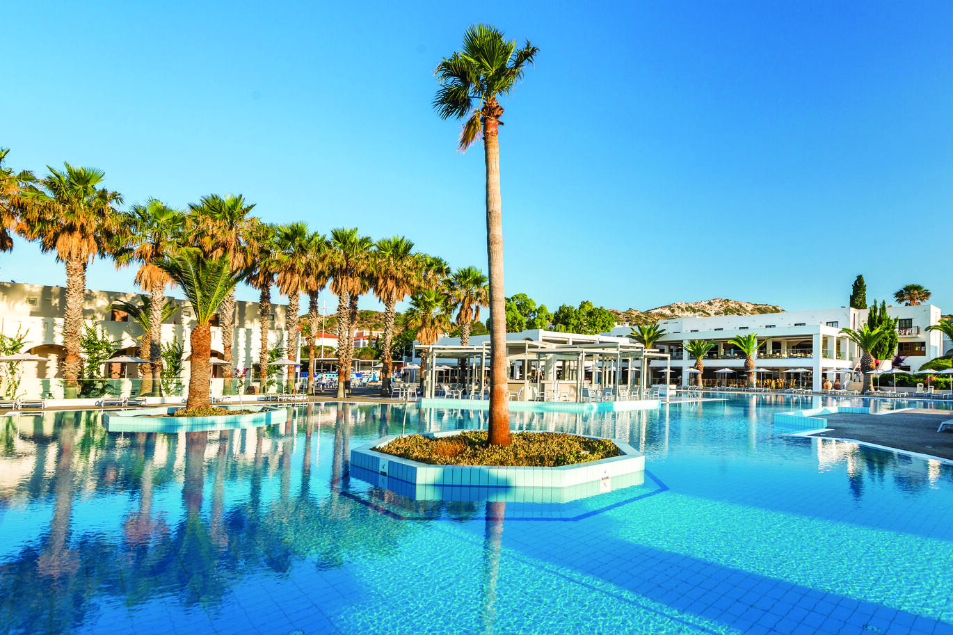 A view from the pool surrounded by palm trees and seating with the hotel building behind.
