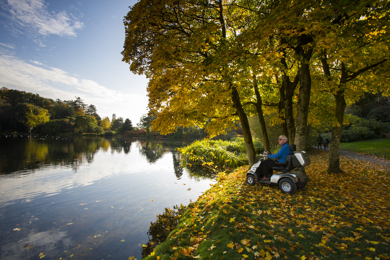 A visitor on a mobility scooter looking over the lake under an autumnal tree with leaves all over the lawn.