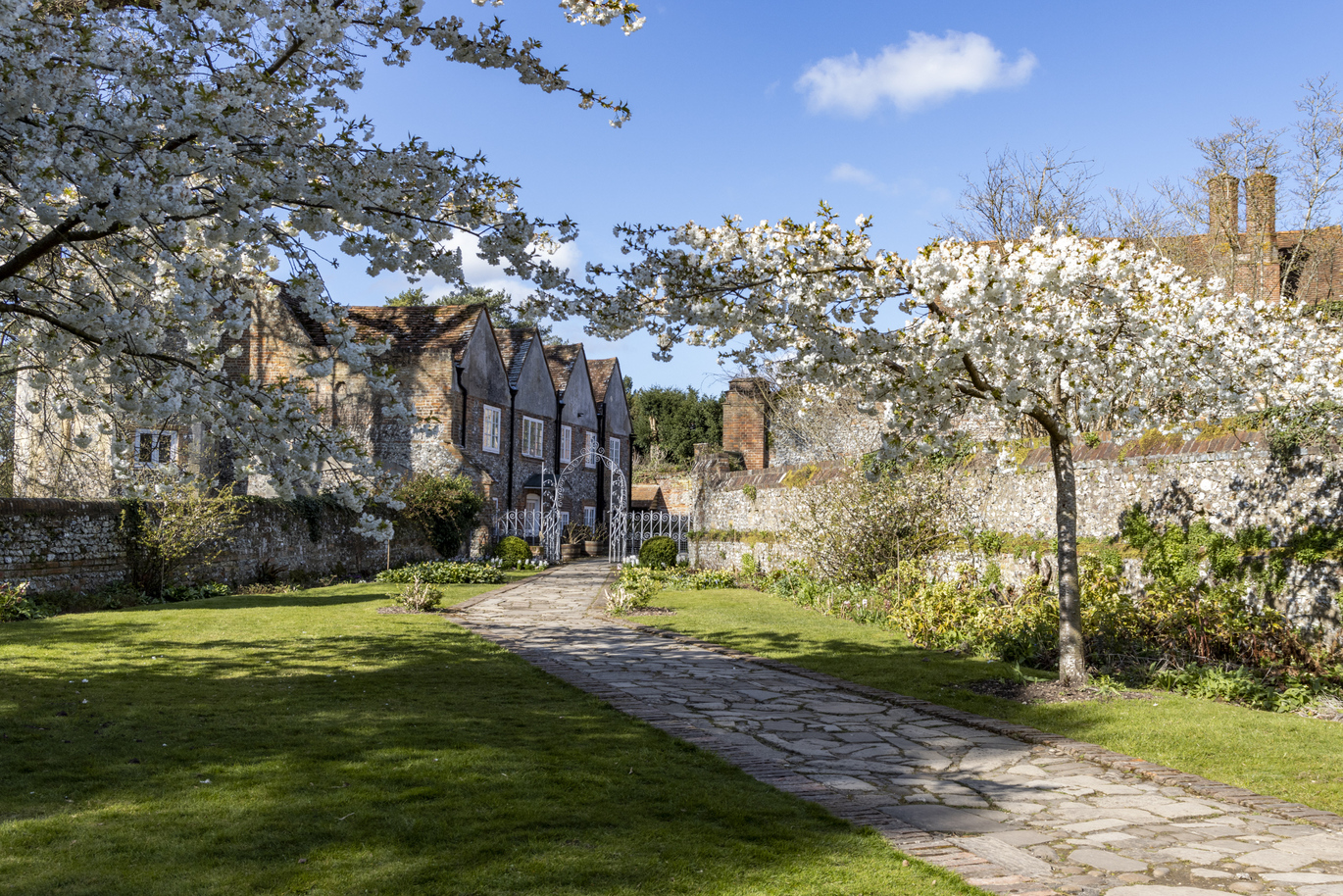 View of stone buildings and walls through the Cherry Garden in April with blossoming trees surrounding the lawns and slate path.