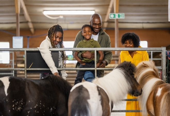 Attwell Park Farm 