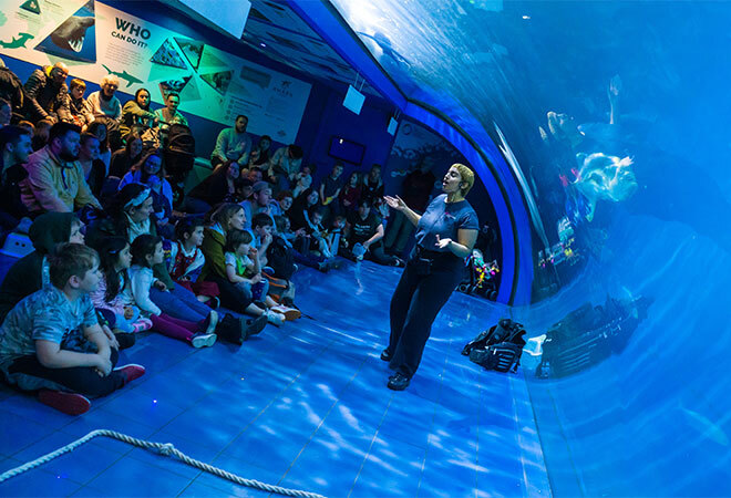 With lots of children sitting to the left of the photo on their bottoms listening to a teacher talking in the middle of the photo. The Curve of the vey blue fish tank curves from behind the teacher to the centre roof above.  The photo appears very blue
