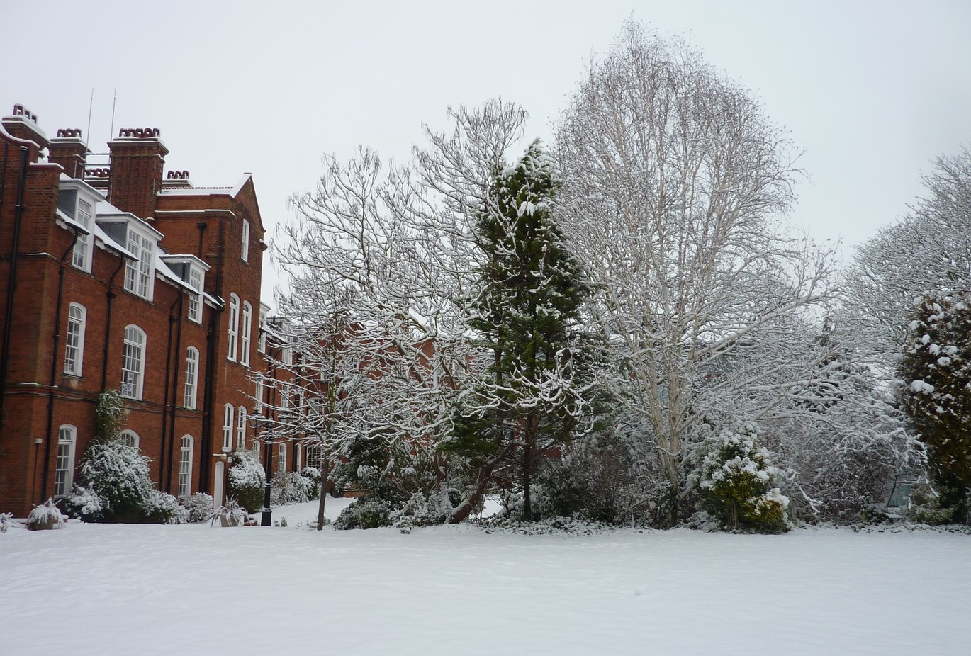 Hughes in Winter