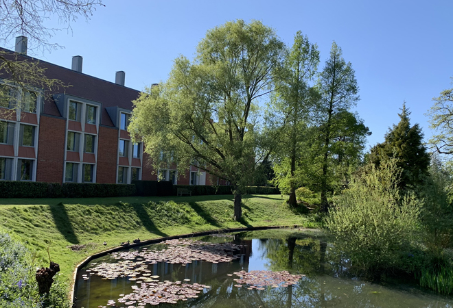 Ash Court Pond