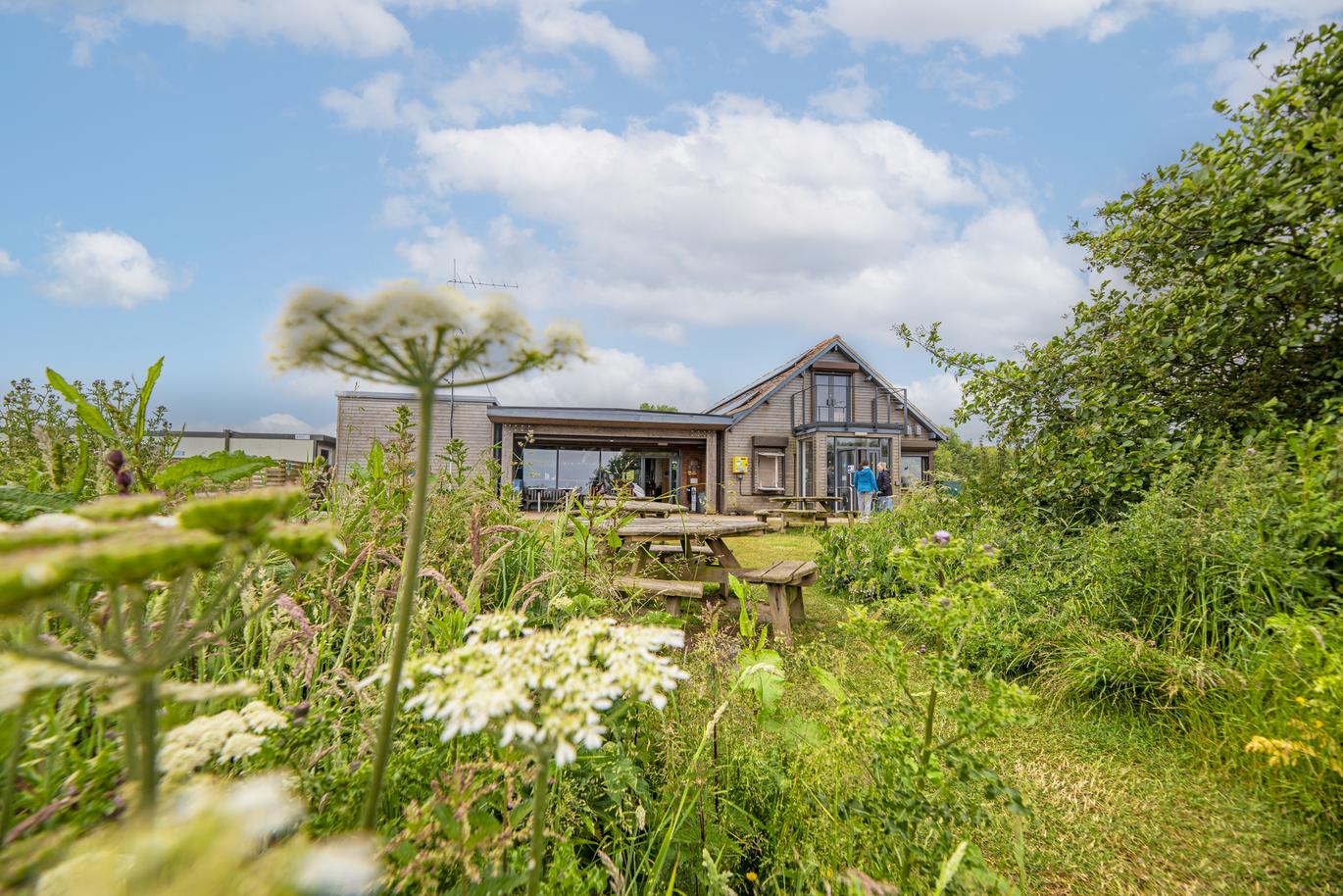 "Blue sky with green field and building in the distance"