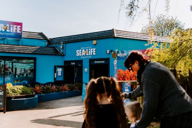 Sea Life Weymouth