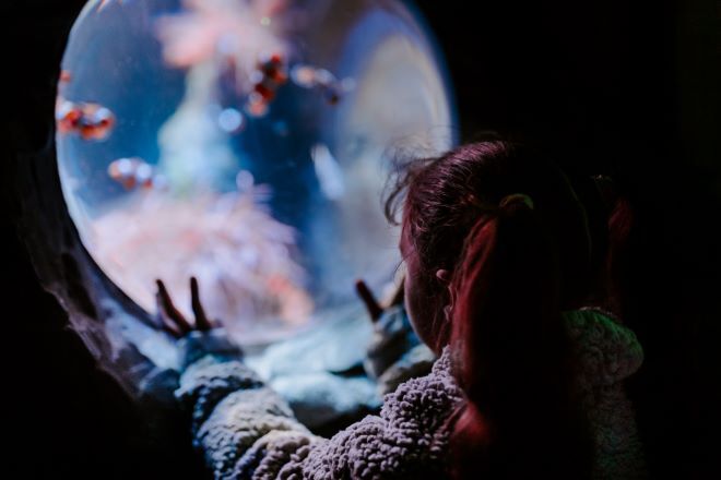 "Blurred image of a young person with the camera behind them, looking at the image of globe"
