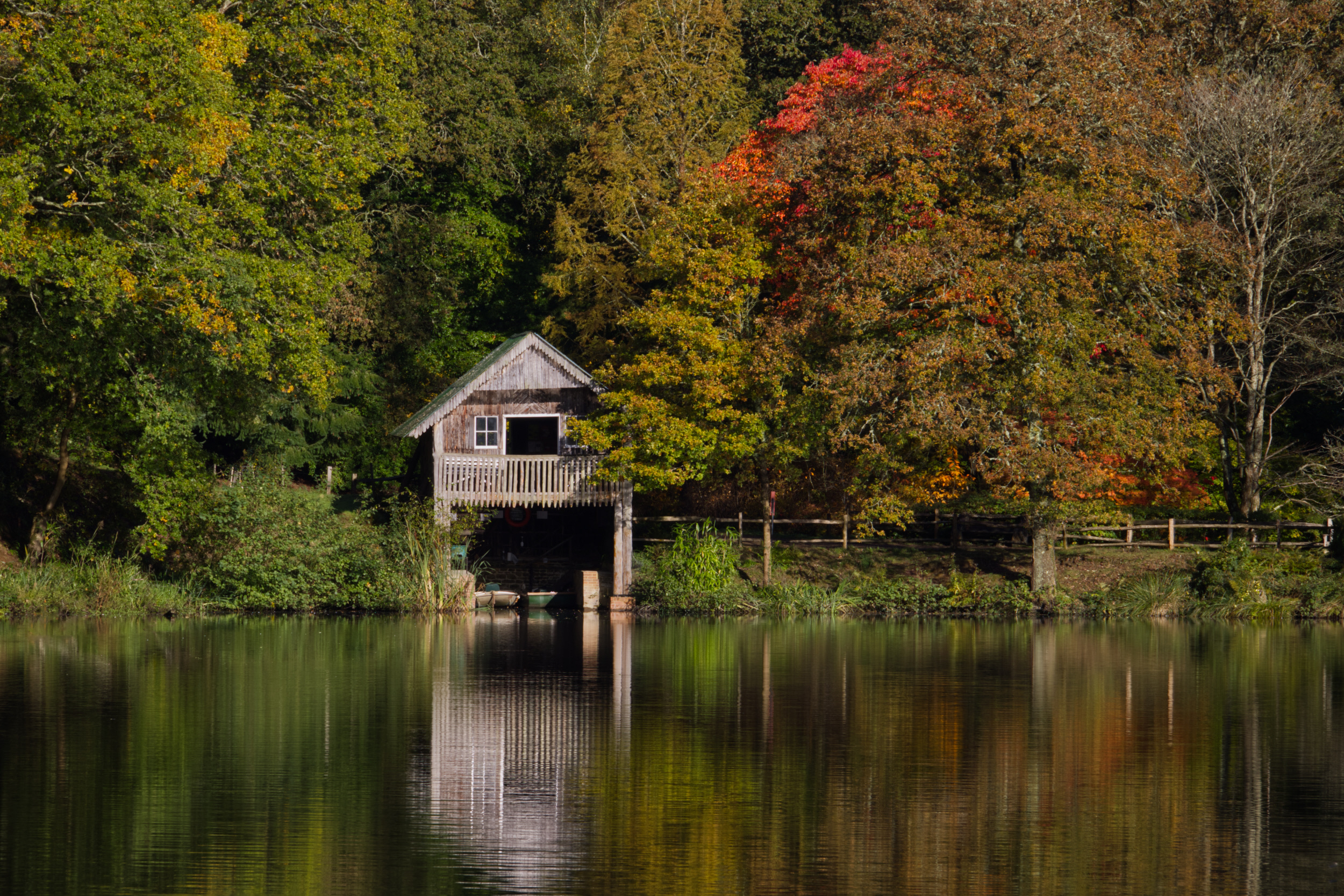 Winkworth Arboretum - National Trust
