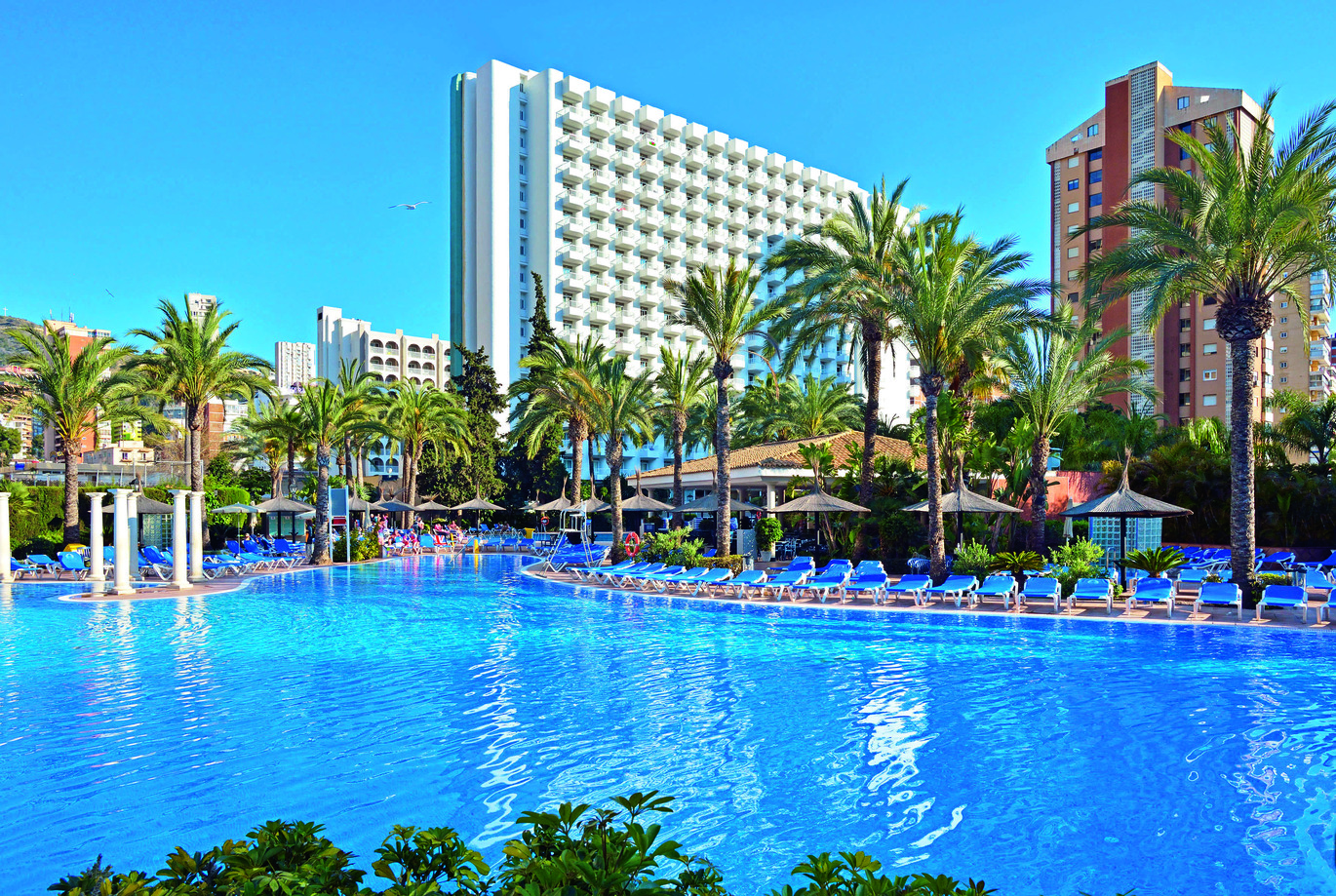 View across the large pool surrounded by many blue sun loungers around the edge with many palm trees dotted around and the tall hotel building behind.