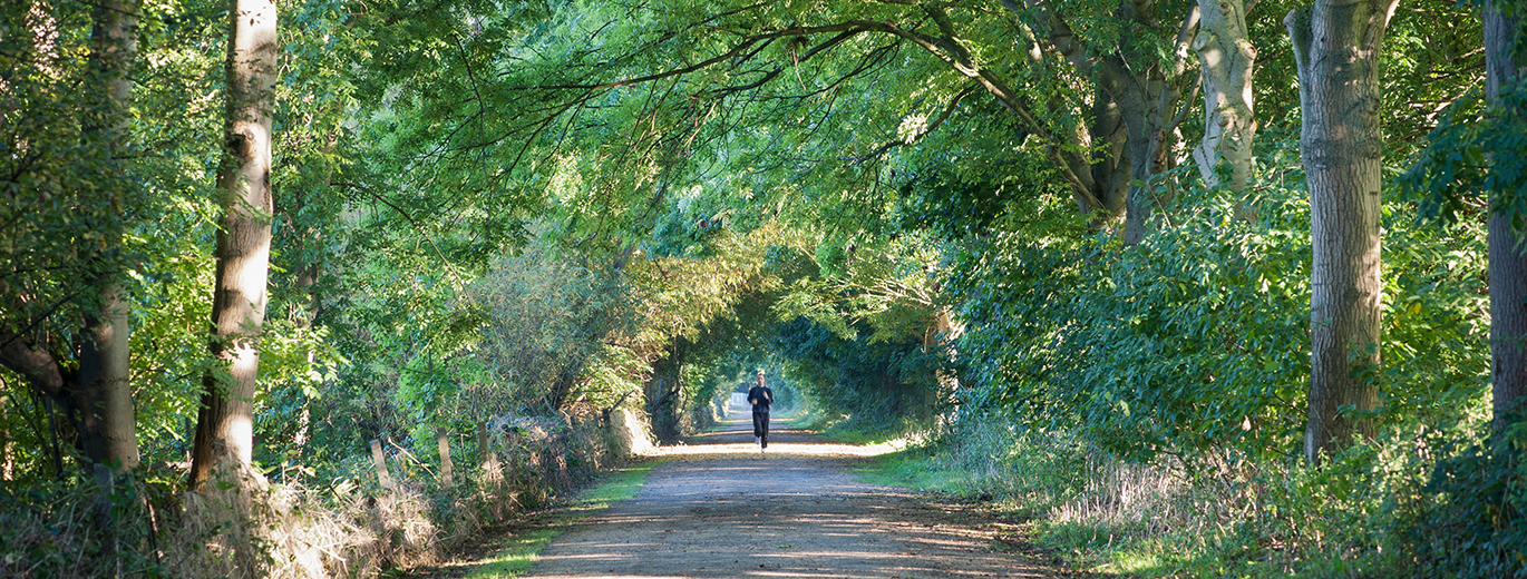 "A photo of River Lee park"