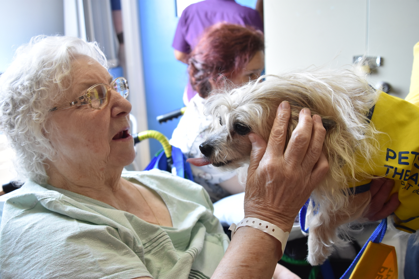"Therapy dog with patient"