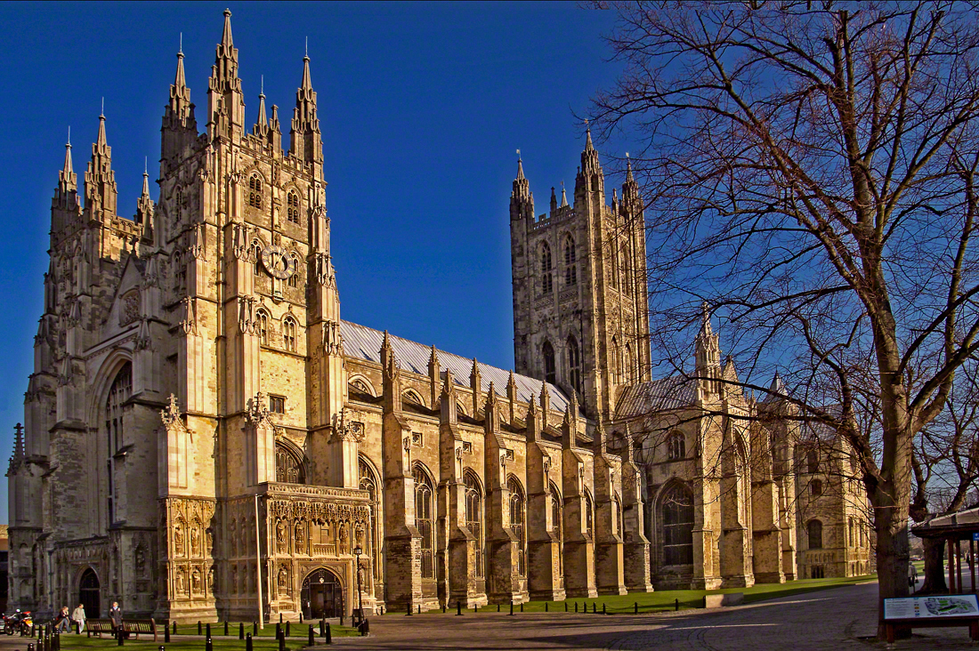 "Cathedral with clear sky background and tree in foreground."