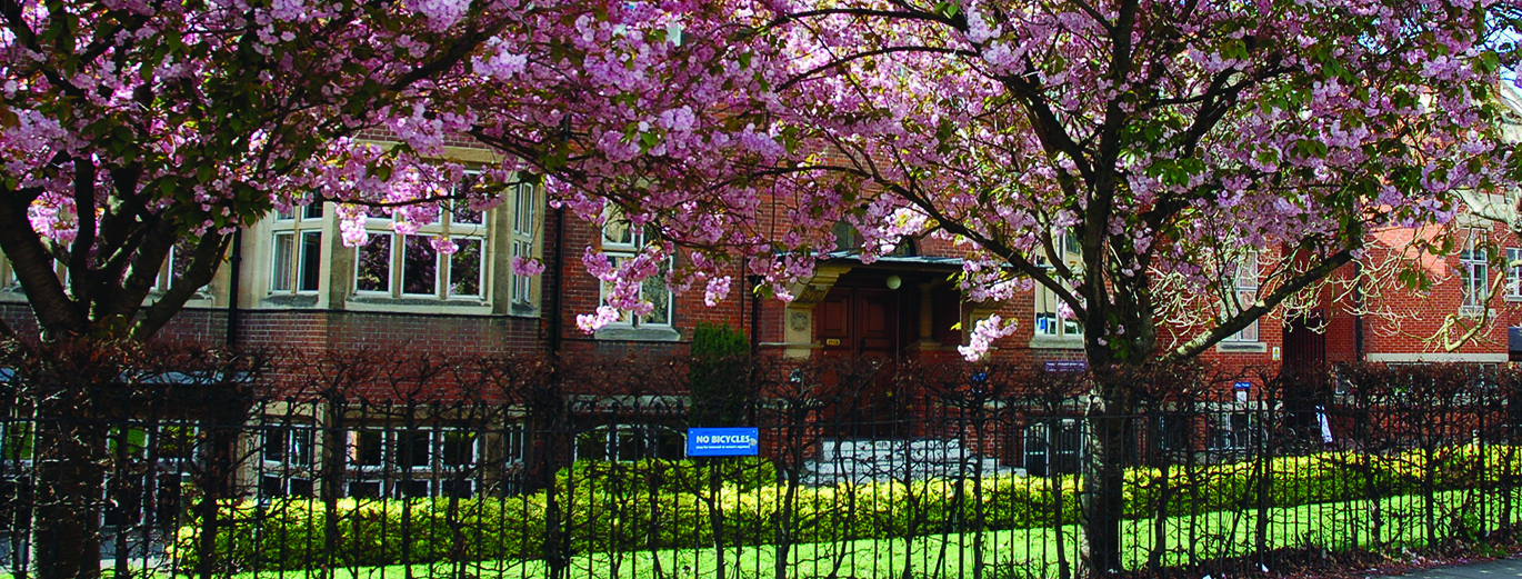 "Cherry blossom trees in foreground with college building in background"