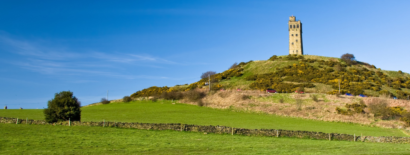 A tall castle with the bright blue sky above, on top of a green hill with lots of shrubbery on the hill. 1/4 of the way up the hill you can see the car park with a car parked in it. At the bottom of the hill is a large field split into 2 with a low brick/stone wall with a large hedge against the wall to the left of the picture. 