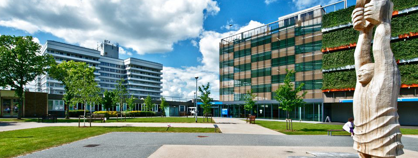 "Lister Hospital grounds"