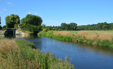 River and countryside